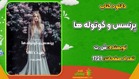 دانلود PDF کتاب پرنسس و کوتوله ها ش.ت